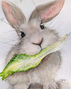 Can Rabbits Eat Cucumber?