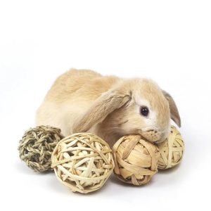 Recommended Toys For Your Rabbits